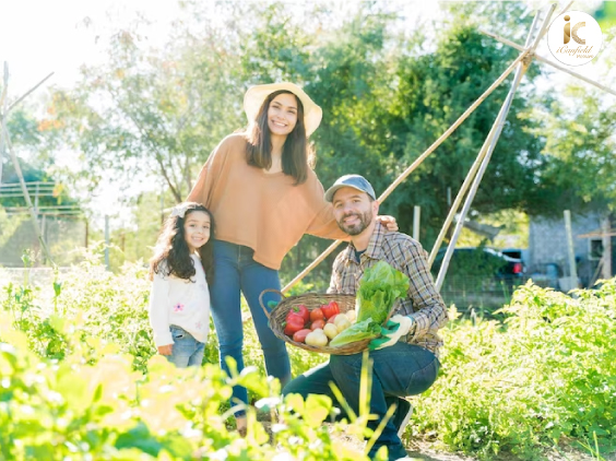 Gia đình người lao động diện chương trình nhập cư thí điểm Nông nghiệp – Thực phẩm được lấy thường trú nhân và hưởng các phúc lợi như công dân Canada
