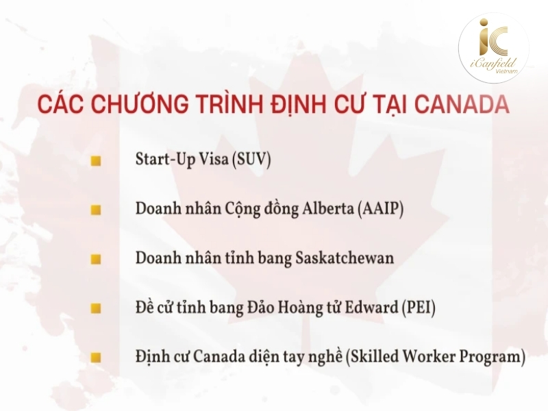 Icanfield Việt Nam – Công Ty Tư Vấn Định Cư Canada Uy Tín tại Việt Nam