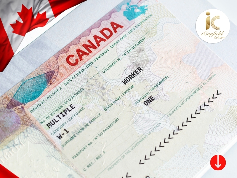 Định cư Canada diện tay nghề có mấy loại?