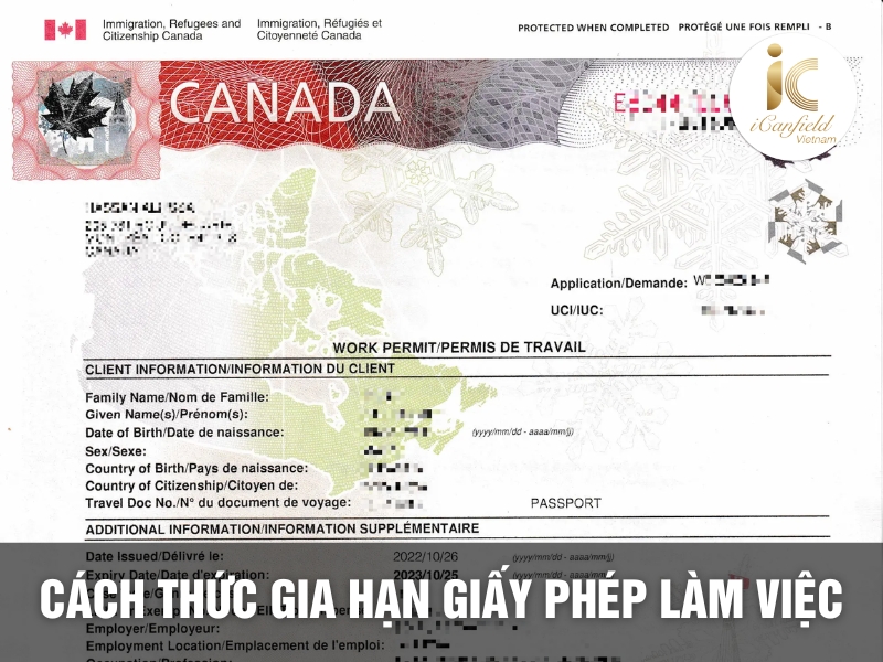 Một số vấn đề liên quan đến việc gia hạn giấy phép làm việc tại Canada