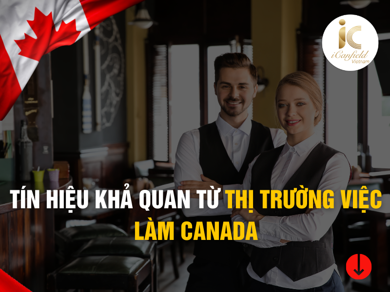 TÍN HIỆU KHẢ QUAN TỪ THỊ TRƯỜNG VIỆC LÀM CANADA