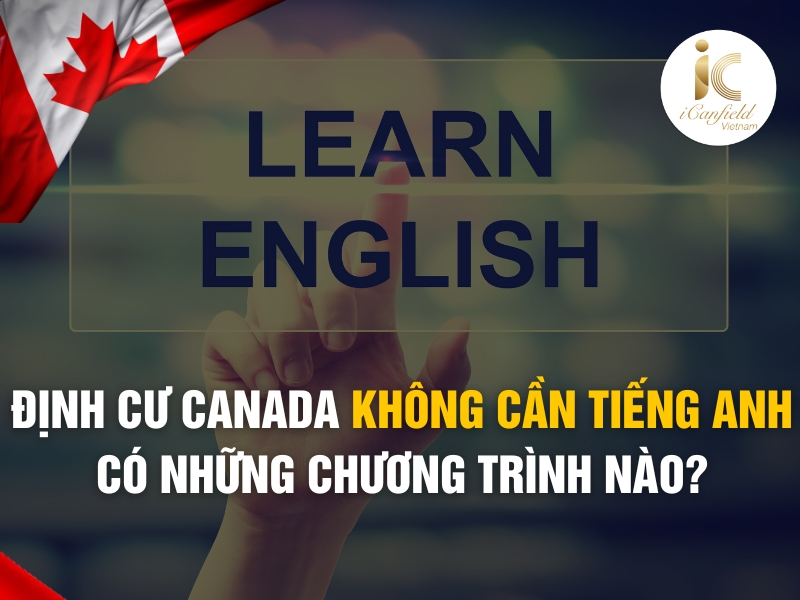 ĐỊNH CƯ CANADA KHÔNG CẦN TIẾNG ANH CÓ NHỮNG CHƯƠNG TRÌNH NÀO?