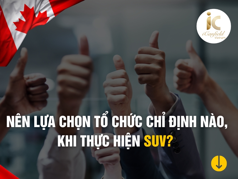 Có những loại hình tổ chức chỉ định nào ở Canada?