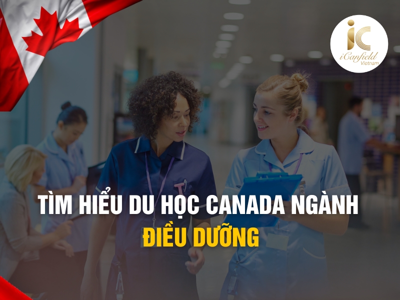 Những lý do chọn du học Canada ngành điều dưỡng