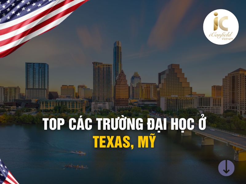 TOP CÁC TRƯỜNG ĐẠI HỌC Ở TEXAS, MỸ