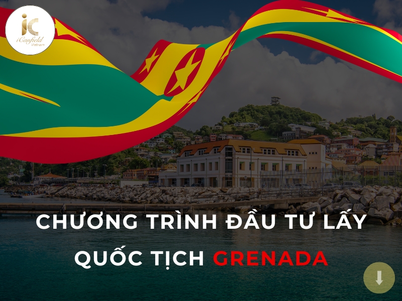 LỰA CHỌN HÌNH THỨC THAM GIA ĐỂ LẤY QUỐC TỊCH GRENADA