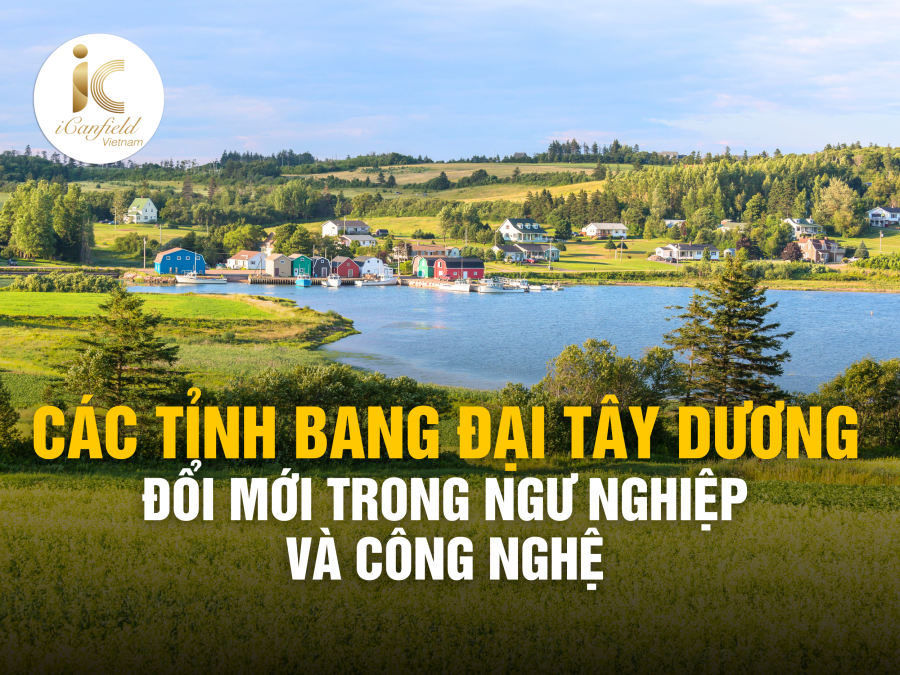 CÁC TỈNH BANG ĐẠI TÂY DƯƠNG: ĐỔI MỚI TRONG NGƯ NGHIỆP VÀ CÔNG NGHỆ