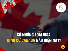 CÓ NHỮNG LOẠI VISA ĐỊNH CƯ CANADA NÀO HIỆN NAY?